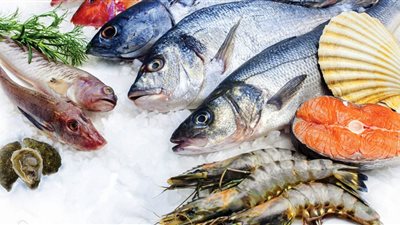 أسعار الأسماك اليوم 29/1/2019.. «البلطي» يسجل 23 جنيها