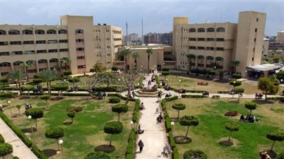 تفاصيل اجتماع مجلس جامعة دمياط