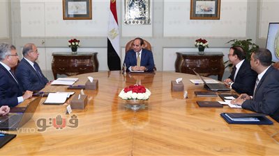 السيسي يبحث مع الحكومة مشروع قواعد البيانات المتكاملة