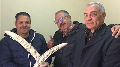 بالصور.. ضبط محاولة تهريب قطعتي عاج طبيعي بجمرك بدر الذهبية