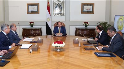 الرئيس وتكنولوجيا المعلومات.. السيسي يبحث مع الحكومة مشروع قواعد البيانات المتكاملة.. يطالب بالتعاون الفعال بين جميع جهات الدولة.. ويشدد على ترسيخ قيم الانضباط والشفافية