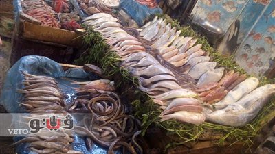 بالفيديو.. «خليها تعفن» تضرب أسواق الأسماك.. البائعون: حالنا وقف والسوق فاضية.. مواطنون: المقاطعة هي الحل بعد ارتفاع الأسعار الجنوني.. والصيادون: التصدير وعدم تطهير بوغاز رشيد سبب الغلاء