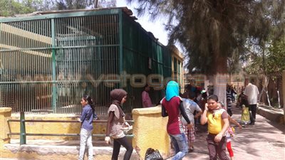 بالصور.. توافد المواطنين على حديقة الحيوان بكفر الشيخ