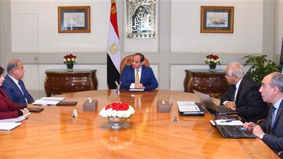 السيسي يكلف بدراسة مشاركة القطاع الخاص في مشروعات النقل العام