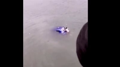 لقطات مثيرة للحظة إنقاذ سائق من الغرق بعد سقوط سيارته في نهر ( فيديو)