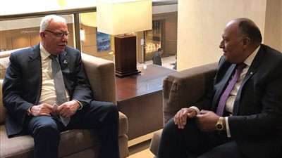 سامح شكري يبحث إحياء عملية السلام مع وزير خارجية فلسطين