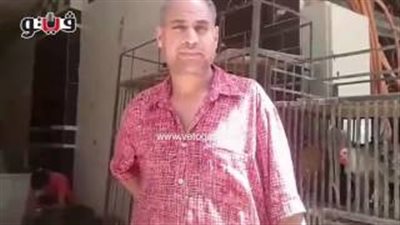 بالفيديو.. كيلو الدواجن يسجل 30 جنيها بالأسواق