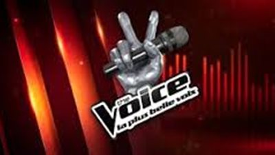 مفاوضات بين mbc وحماقي للمشاركة في the voice