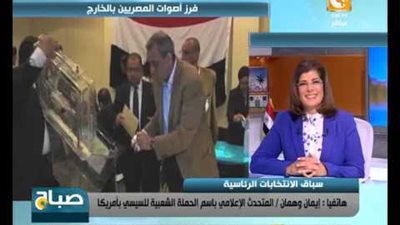 «الدفاع عن الجمهورية»: المصريون بالخارج تبرعوا بالعملة الأجنبية