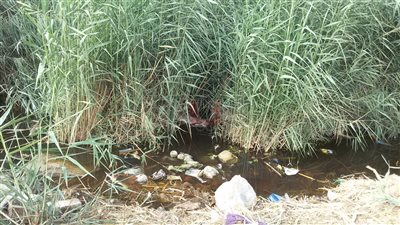 أهالي «حاجر طوخ والخطارة» مأساة المهمشين في قنا.. «مياه مجهولة» تهدد حياة 20 ألف نسمة.. نساء القرية: الناموس يمتص دم الرضع.. ورئيس المدينة: شكلنا لجنة