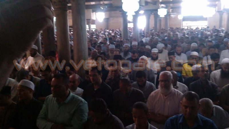 فيتو