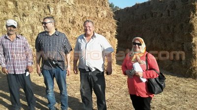 بالصور.. وكيل «البيئة» بالدقهلية يحرر محضرا ضد فلاح يحرق قش الأزر