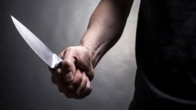 مدمن يذبح ربة منزل لسرقة 100 ألف جنيه في الدقهلية