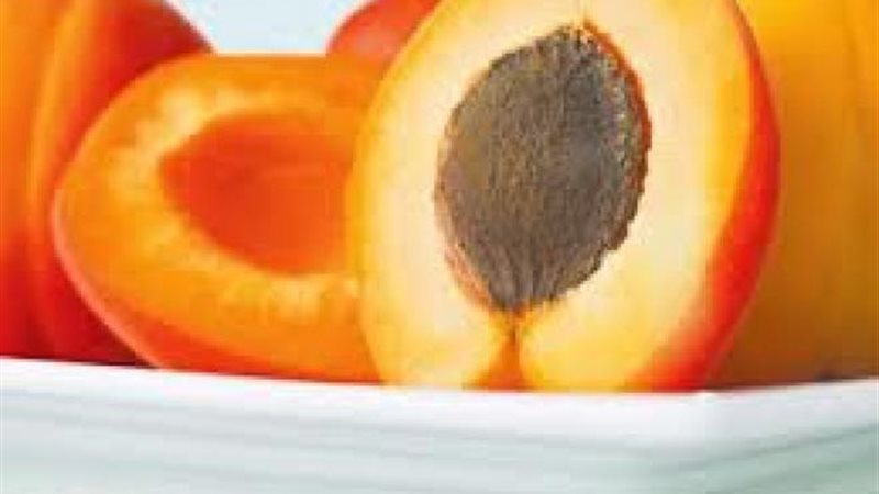  بذور المشمش