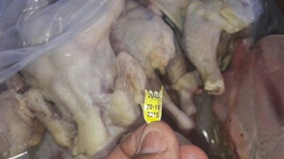 «6 فرخات بـ100 جنيه».. شحنة دواجن فاسدة تباع بأسعار زهيدة في السويس