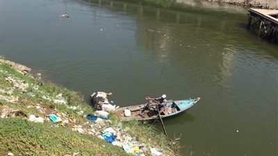 انتشال حيوان نافق من المجاري المائية بالدقهلية للمرة الخامسة