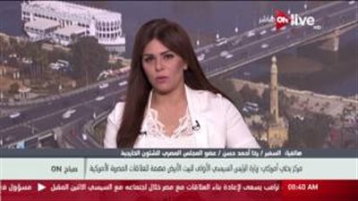 بالفيديو.. رخا أحمد حسن: أستبعد تصنيف أمريكا للإخوان كجماعة إرهابية