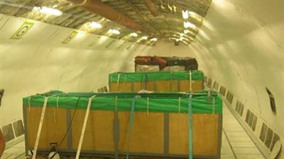 «مصر للطيران» تنقل شحنة دلافين حية من بيروت للغردقة (صور)