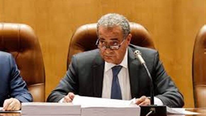  الدكتور على المصيلحى،