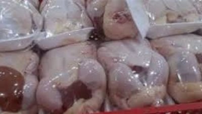 حملة تموينية للتفتيش على الدواجن المجمدة بأسواق الإسكندرية