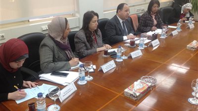 وزير المالية: تشكيل لجنة لحل المعوقات أمام المستثمرين الفرنسيين بمصر