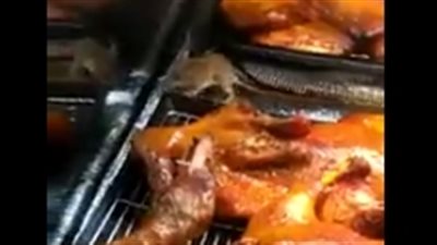 فأر يحاول سرقة بط مشوي من مطعم (فيديو)