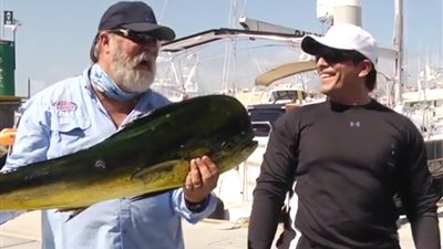 حيوانات لكن لصوص.. أطرف سرقات الحيوانات من البشر (فيديو)