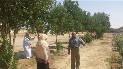 بالصور.. رئيس مدينة الخارجة توجه باستغلال الصوب الزراعية