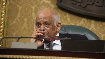 عبد العال يمازح نائب البحيرة: محافظتك مشاركتها ضعيفة بالانتخابات