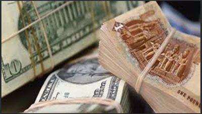 صحيفة أمريكية: التعامل بالجنيه المصري ملاذ آمن للمستثمرين