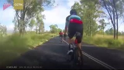 كنغر يتسبب في سقوط فتاة بطريقة مروعة (فيديو)