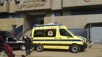 هشام جنينة يصل «الطب الشرعي» بسيارة إسعاف (صور)