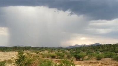 أمطار غريبة في سماء الهند (فيديو)