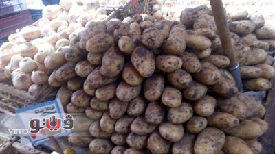 بالفيديو.. ارتفاع أسعار الخضراوات و«الطماطم» تسجل 10 جنيهات