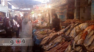 «علوم البحار» يكشف أسباب ارتفاع أسعار الأسماك.. جاد القاضي: الأعلاف المستوردة وغياب الرقابة وراء الأزمة.. مزرعة السرو تنتج 70 طنا سنويا.. جهود مكثفة لإعادة تشغيل المحطات المعطلة