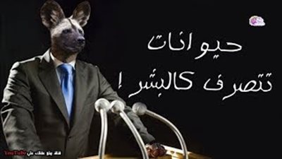 5 حيوانات تتصرف كالبشر (فيديو)