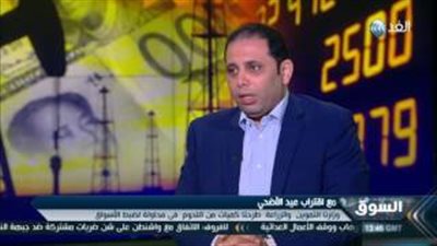 بالفيديو.. خبير اقتصادي: شراء المصريين للأضاحي أصبح رفاهية