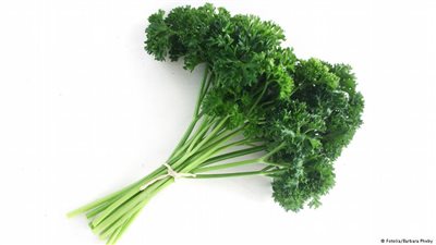 الشبت والبقدونس يقيان من السرطان