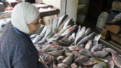 البلطي يسجل 27 جنيها بسوق العبور.. اليوم
