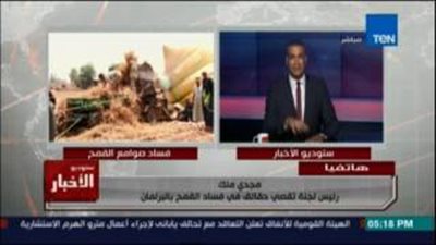 مجدي ملك: الأجهزة الرقابية تواصل ضبط المتورطين في فساد القمح