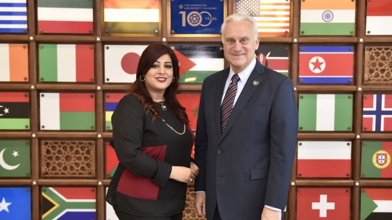 فيتو