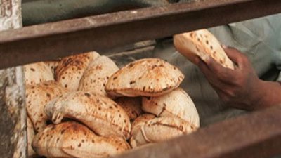 تعرف على شروط إنشاء مخبز بلدي جديد