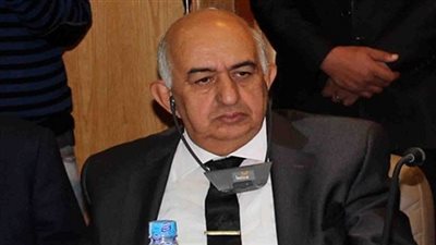 الشوربجي: انتهاء دور «العليا للانتخابات» فور تشكيل الهيئة الوطنية