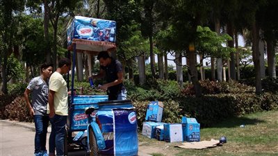 «النوم والآيس كريم» أبرز مظاهر الاحتفال بالعيد في حديقة الأزهر