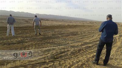 البيئة: تلوث طور سيناء زيتي بسيط تم إزالته