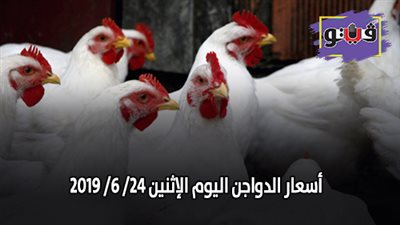 بورصة الدواجن الرئيسية | اسعار الدواجن اليوم الإثنين 24/ 6/ 2019