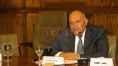 وزير الخارجية يناقش تطورات القضية الفلسطينية باجتماع بالبرلمان