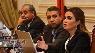 سحر نصر تعرض رؤية وزارة التعاون الدولي أمام البرلمان