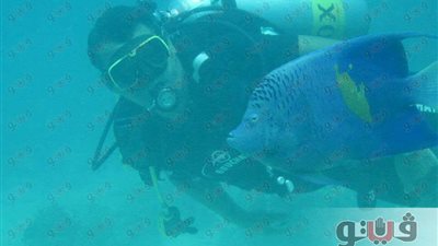 العثور على مركب تاريخية في قاع البحر الأحمر