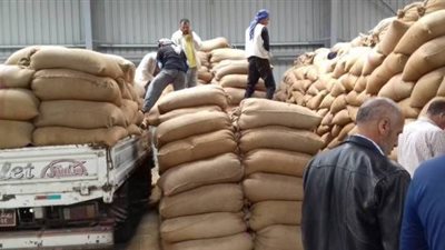توريد 106 آلاف طن قمح محلي بالجيزة